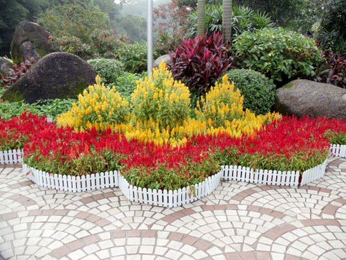 Red and Yellow flower arrangement.